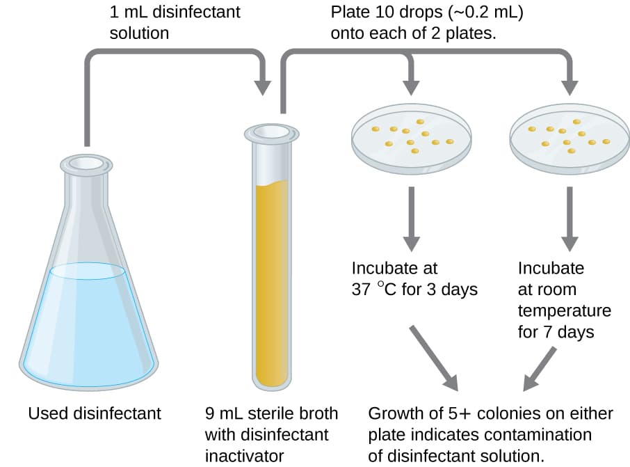 Phenol coefficient and limitations, Testing the Effectiveness of Antiseptics and Disinfectants · Microbiology