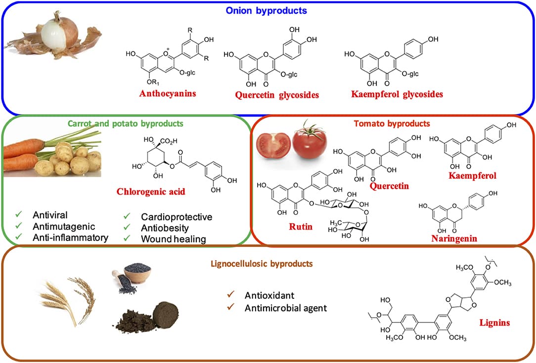 Phenolics, Frontiers | Bioactive Phenolic Compounds From Agri-Food Wastes: An Update on Green and ...