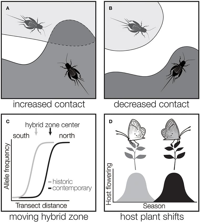 Phenology shifts in terrestrial species, Frontiers | Insect Hybridization and Climate Change