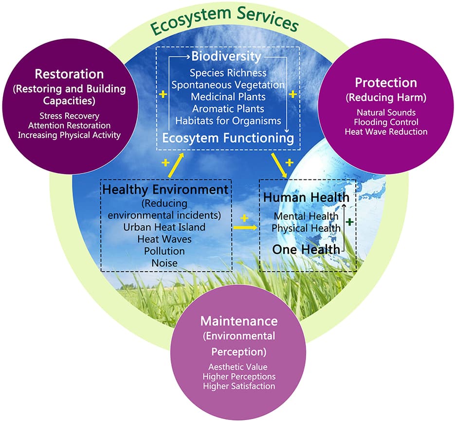 Philosophical perspectives on nature-human relations, Frontiers | Editorial: Biodiversity, ecosystem functions and services: Interrelationship with ...