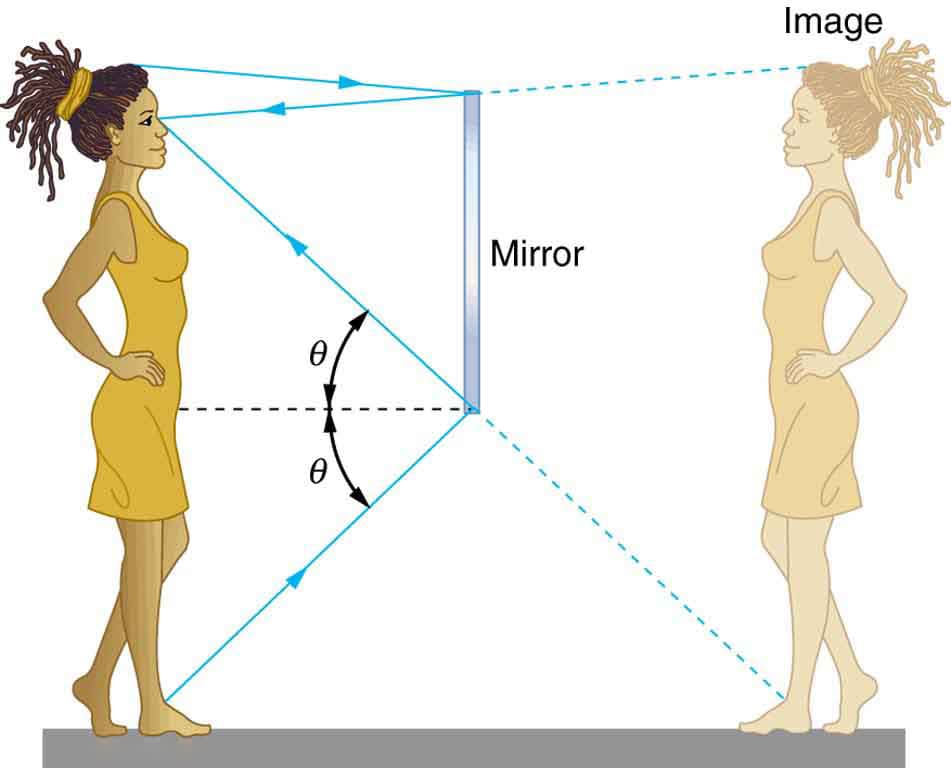 Plane mirrors, 4.2 The Law of Reflection – Douglas College Physics 1207