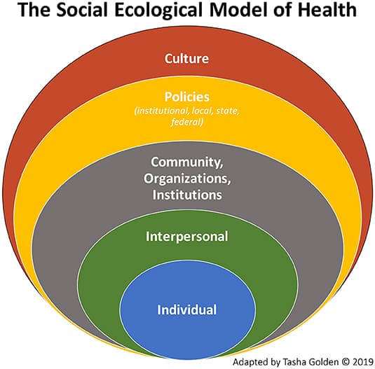 Population-Level Approaches, Frontiers | Public Health's Next Step in Advancing Equity: Re-evaluating Epistemological ...