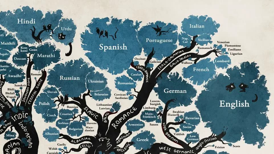 Prescriptive vs descriptive grammar, The Tree Of Languages Illustrated In One Gorgeous Infographic