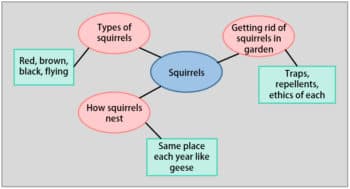 Exploring Ideas Before Drafting, Prewriting Strategies | English Composition 1