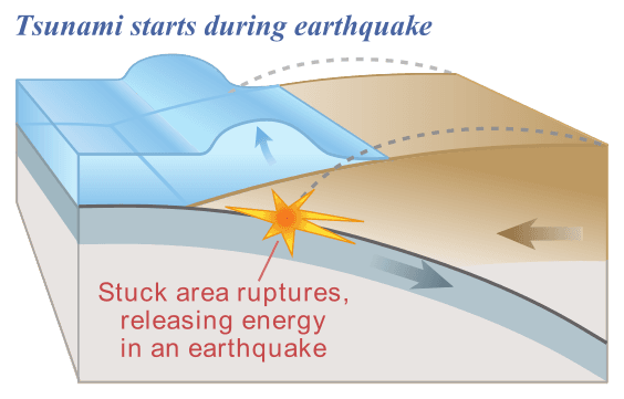 Primary and Secondary Seismic Hazards, Tsunami - Wikipedia