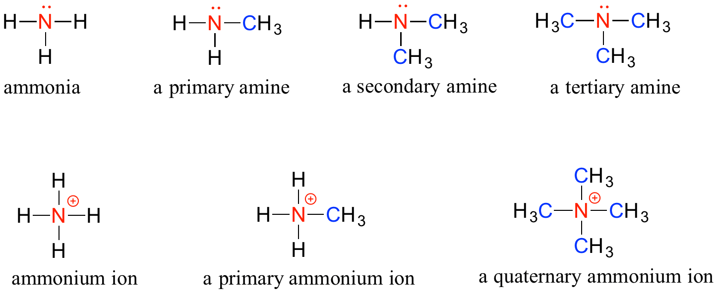Primary vs secondary vs tertiary, 1.6: Functional Groups - Chemistry LibreTexts