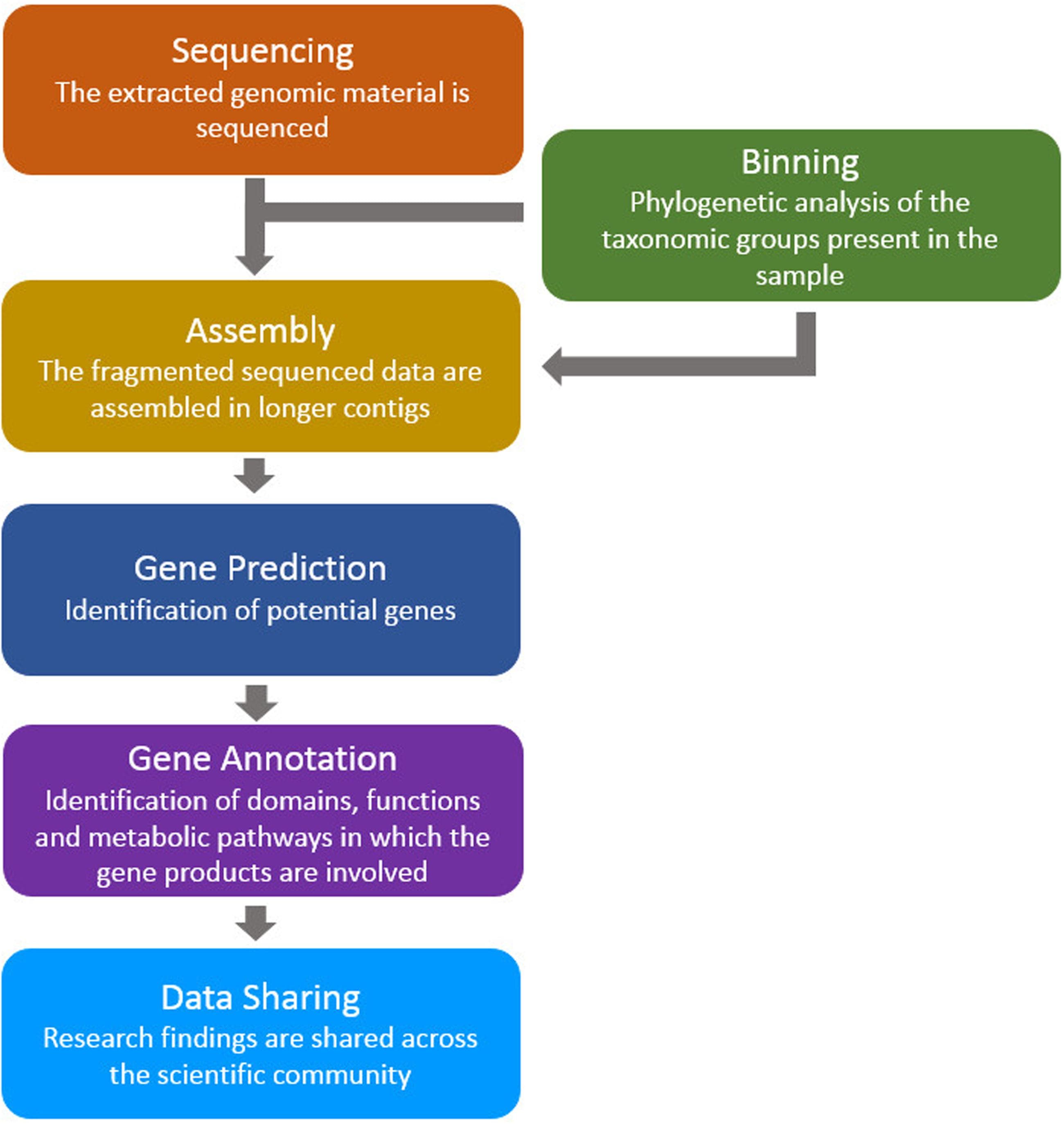 Primary vs secondary databases, Frontiers | A Review of Bioinformatics Tools for Bio-Prospecting from Metagenomic Sequence Data