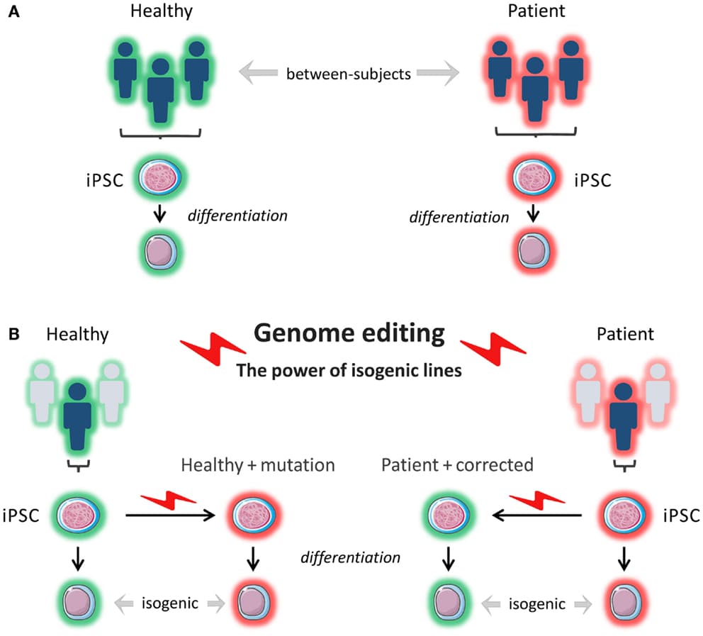 Primary vs secondary immunodeficiencies, Frontiers | Novel Genome-Editing Tools to Model and Correct Primary Immunodeficiencies | Immunology