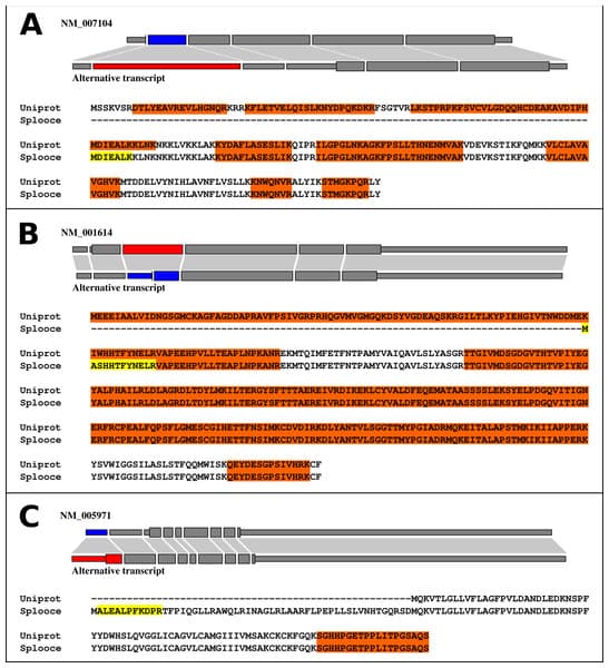 Primary vs secondary databases, Identification of rare alternative splicing events in MS/MS data reveals a significant fraction ...