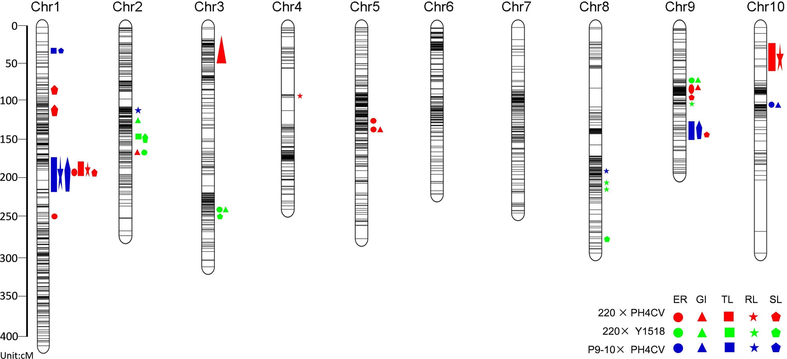 Principles of QTL analysis, Frontiers | QTL Mapping in Three Connected Populations Reveals a Set of Consensus Genomic ...