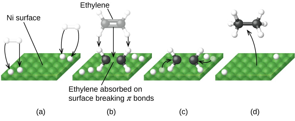 Principles of catalysis types, 12.7 Catalysis | General College Chemistry II