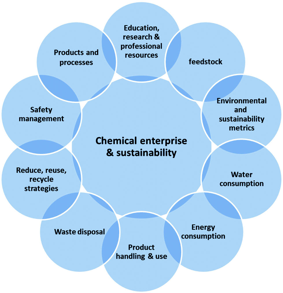 Principles of green chemistry, Education in green chemistry and in sustainable chemistry: perspectives towards sustainability ...