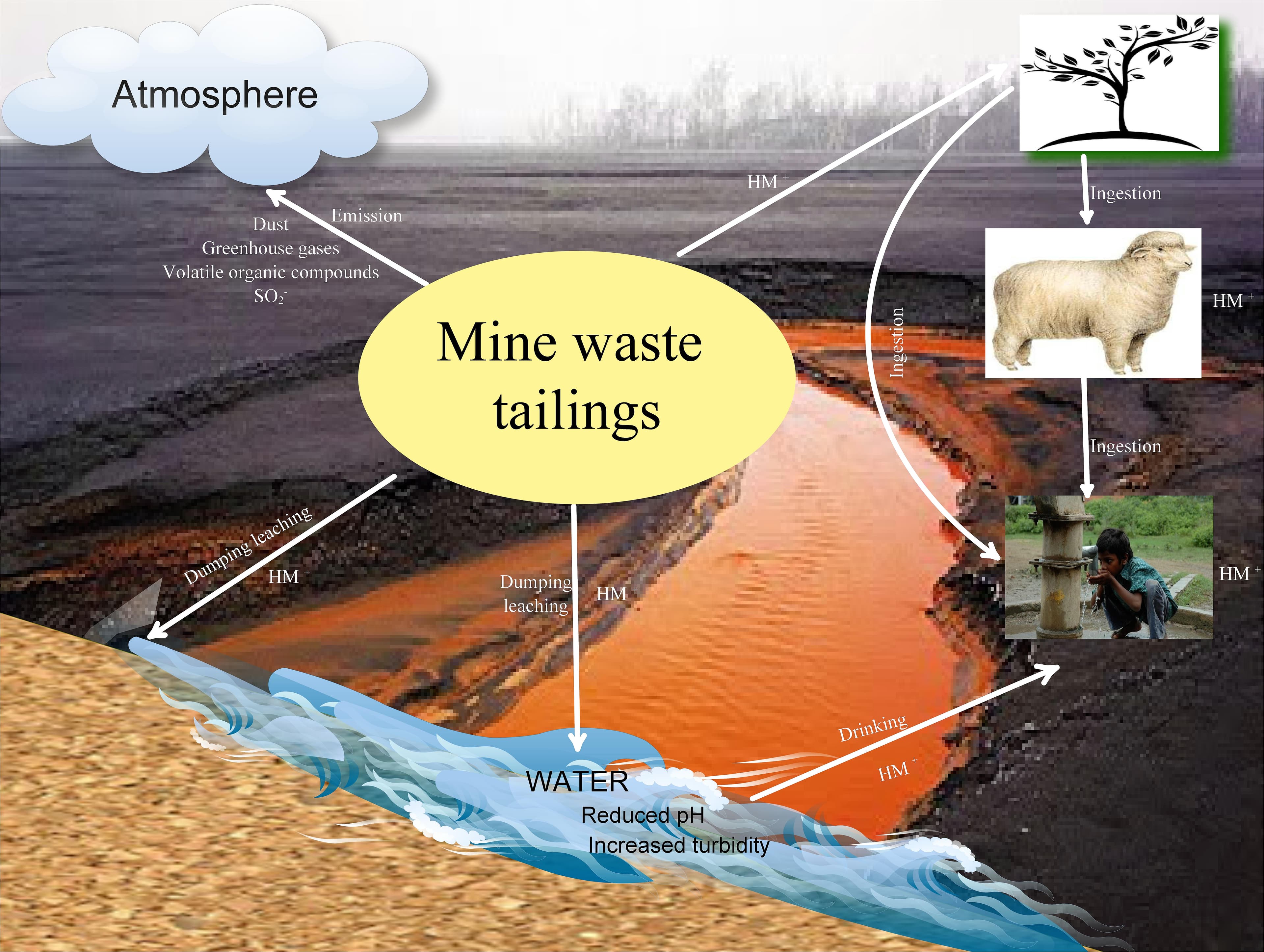 Principles of industrial waste treatment, Frontiers | Sulfate-Reducing Bacteria as an Effective Tool for Sustainable Acid Mine Bioremediation