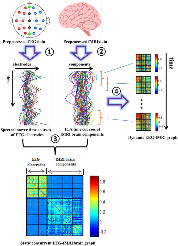 Principles of neuroimaging techniques, Frontiers | Building an EEG-fMRI Multi-Modal Brain Graph: A Concurrent EEG-fMRI Study