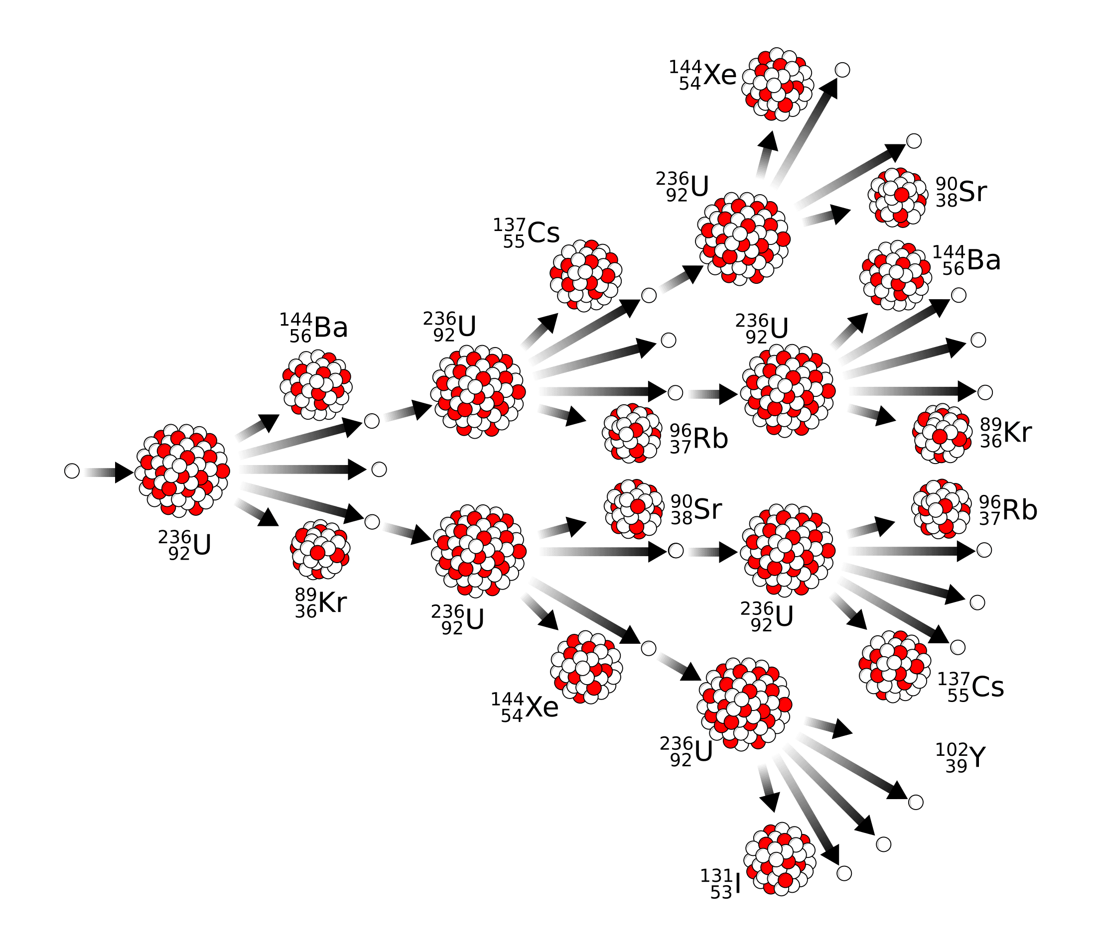 Principles of Nuclear Fission and Uranium, File:Nuclear fission chain reaction.svg - Wikimedia Commons