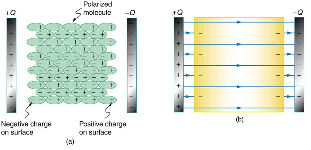 Properties and Characteristics of Dielectrics, Capacitors and Dielectrics | Physics