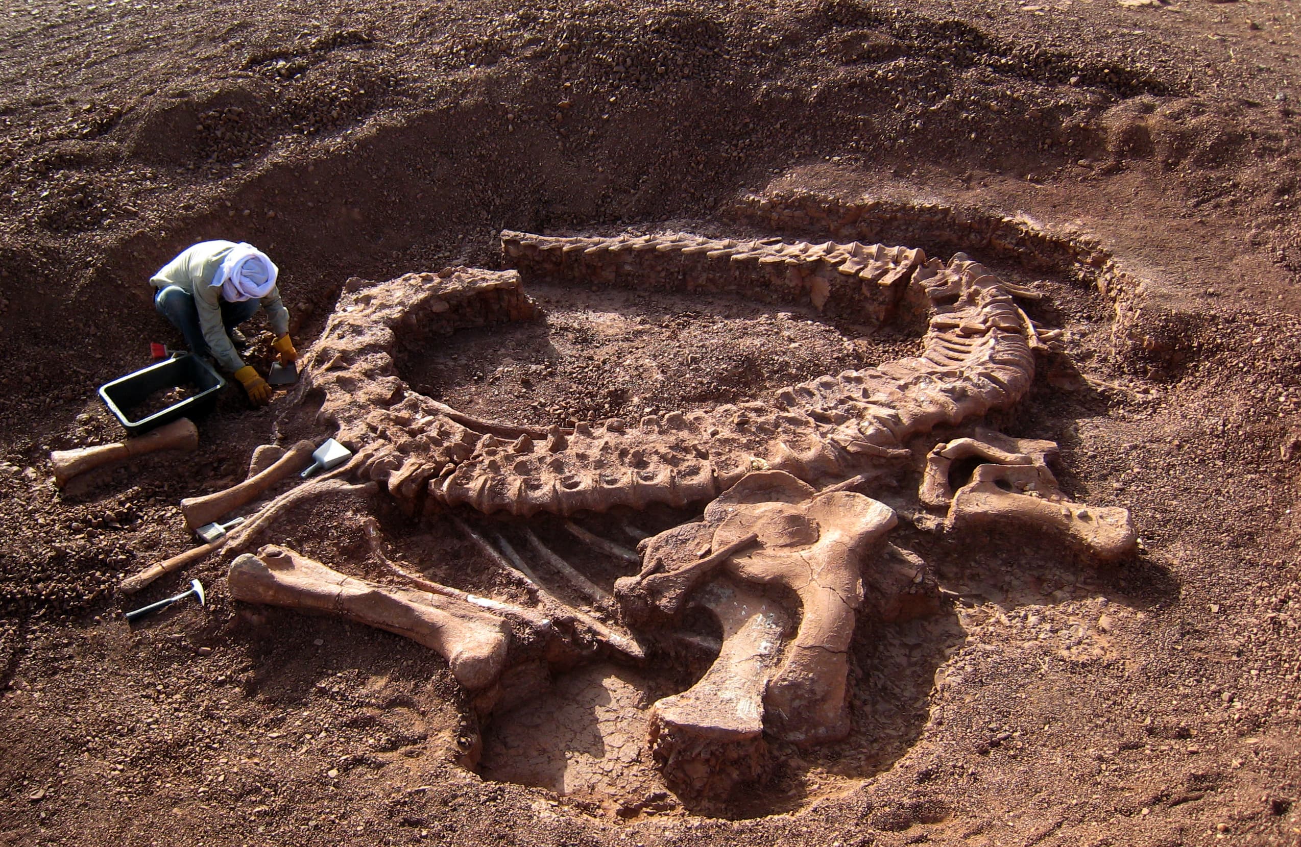 Prospecting vs excavation, File:Spinophorosaurus digsite.jpg - Wikimedia Commons
