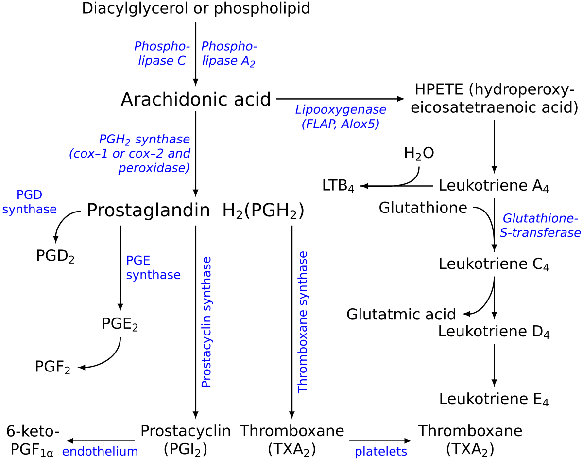 cjc-1295 ipamorelin fat loss clinical evidence efficacy side effects CJC‑1295 For Beginners: How It Works, Benefits, Dosage, and Stacks cjc-1295 ipamorelin fat loss clinical evidence efficacy side effects CJC‑1295 For Beginners: How It Works, Benefits, Dosage, and Stacks