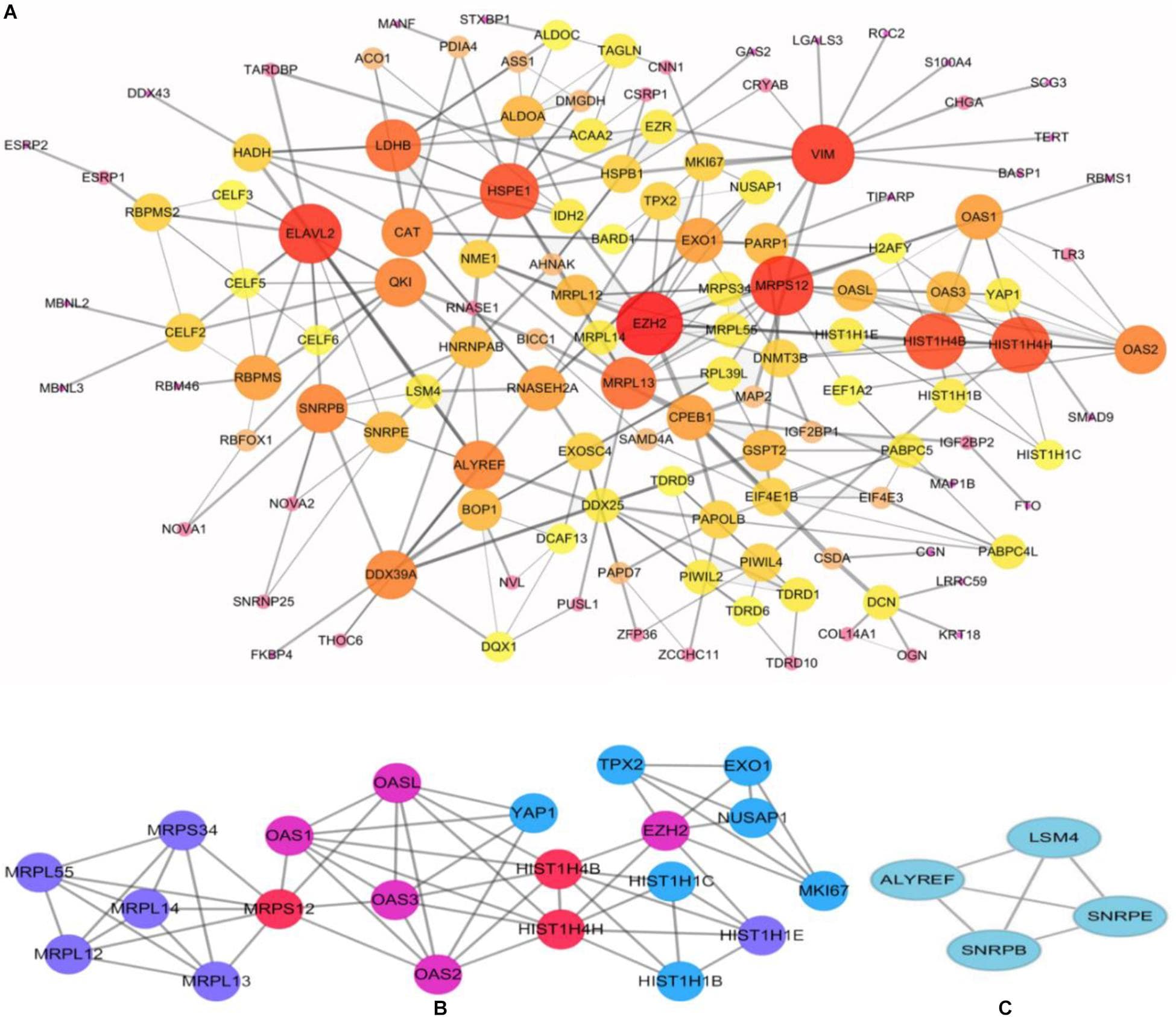 Definition and significance, Frontiers | Integrated Bioinformatics Analysis the Function of RNA Binding Proteins (RBPs) and ...