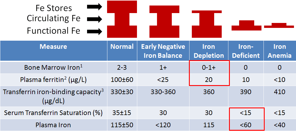 Protein and Iron Status Markers, 12.74 Iron Deficiency & Toxicity | Nutrition