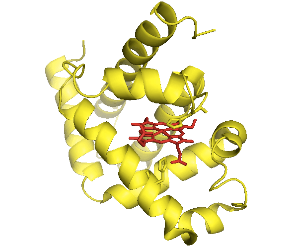 Protein folding problem, Protein folding 01: The protein folding problem