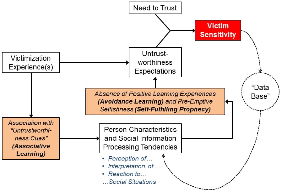 Purpose of victimization surveys, Frontiers | Victimization experiences and the stabilization of victim sensitivity | Psychology