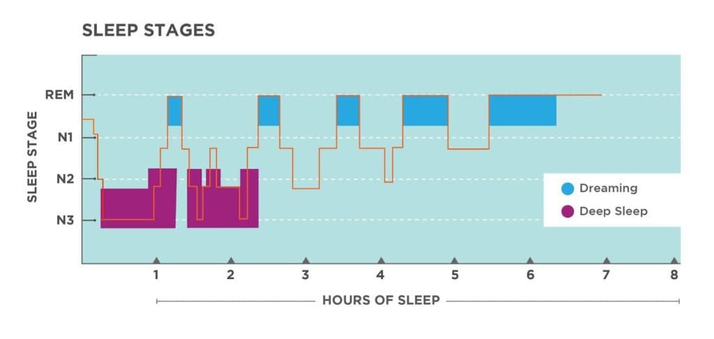 REM vs non-REM sleep characteristics, Stages of Sleep | Introduction to Psychology