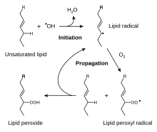 Rancidity and Free Radicals, Rancidification - Wikipedia