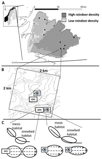 Random sampling, Definition of sampling units begets conclusions in ecology: the case of habitats for plant ...