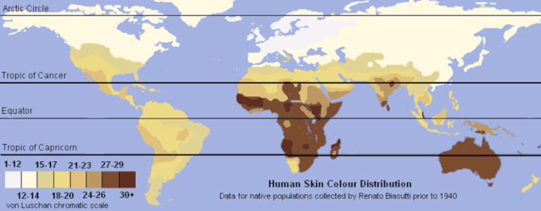 Range of Skin Tones and Undertones, Skin Color and UV Index | Cultural Anthropology