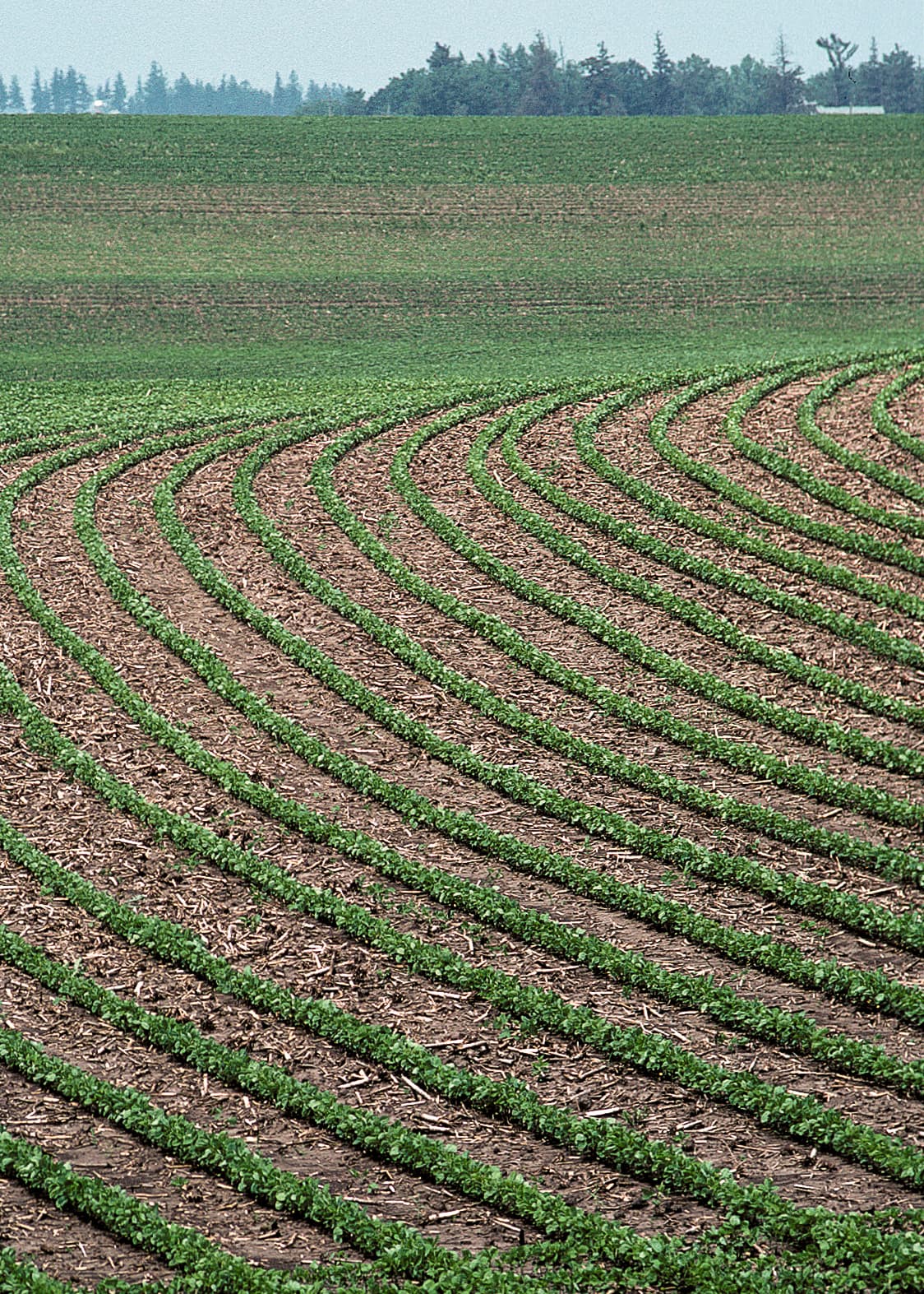 Reducing Soil Erosion, Conservation Practices for Farmland – Soil and Water Conservation: An Annotated Bibliography