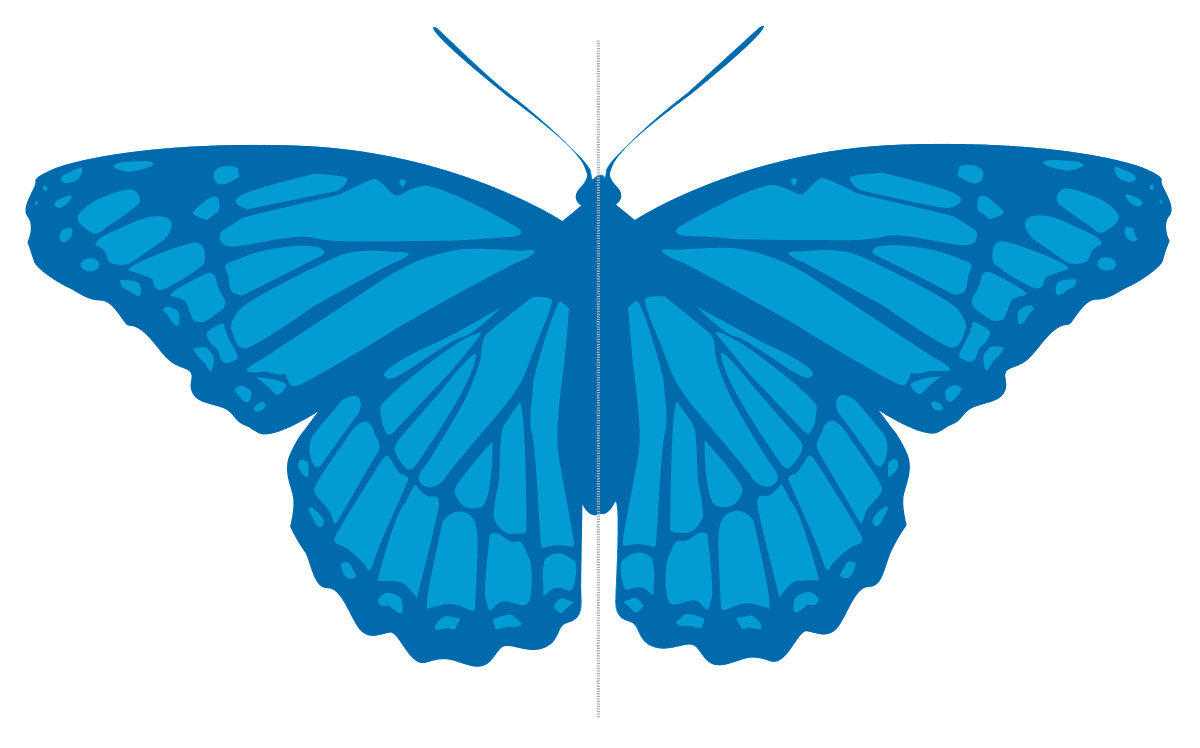 Reflectional vs rotational, Symmetry (geometry) - Wikipedia