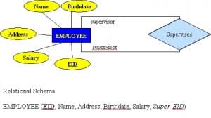 Defining Relational Predicates and Arity, Chapter 8 The Entity Relationship Data Model – Database Design – 2nd Edition