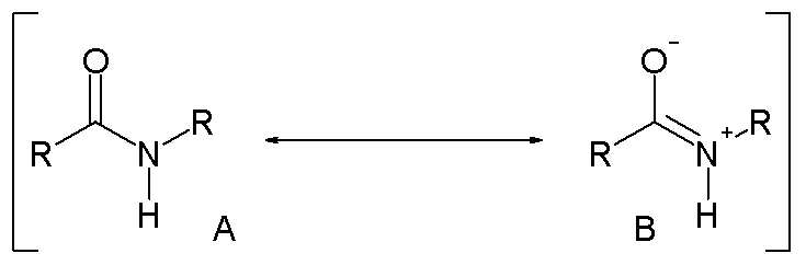 Resonance in amides, Amide - wikidoc