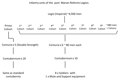 Legion Structure and Composition, Roman legion - Wikipedia