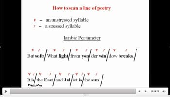Language and structure, Shakespeare's Iambic Pentameter by The Know Buzz | TpT