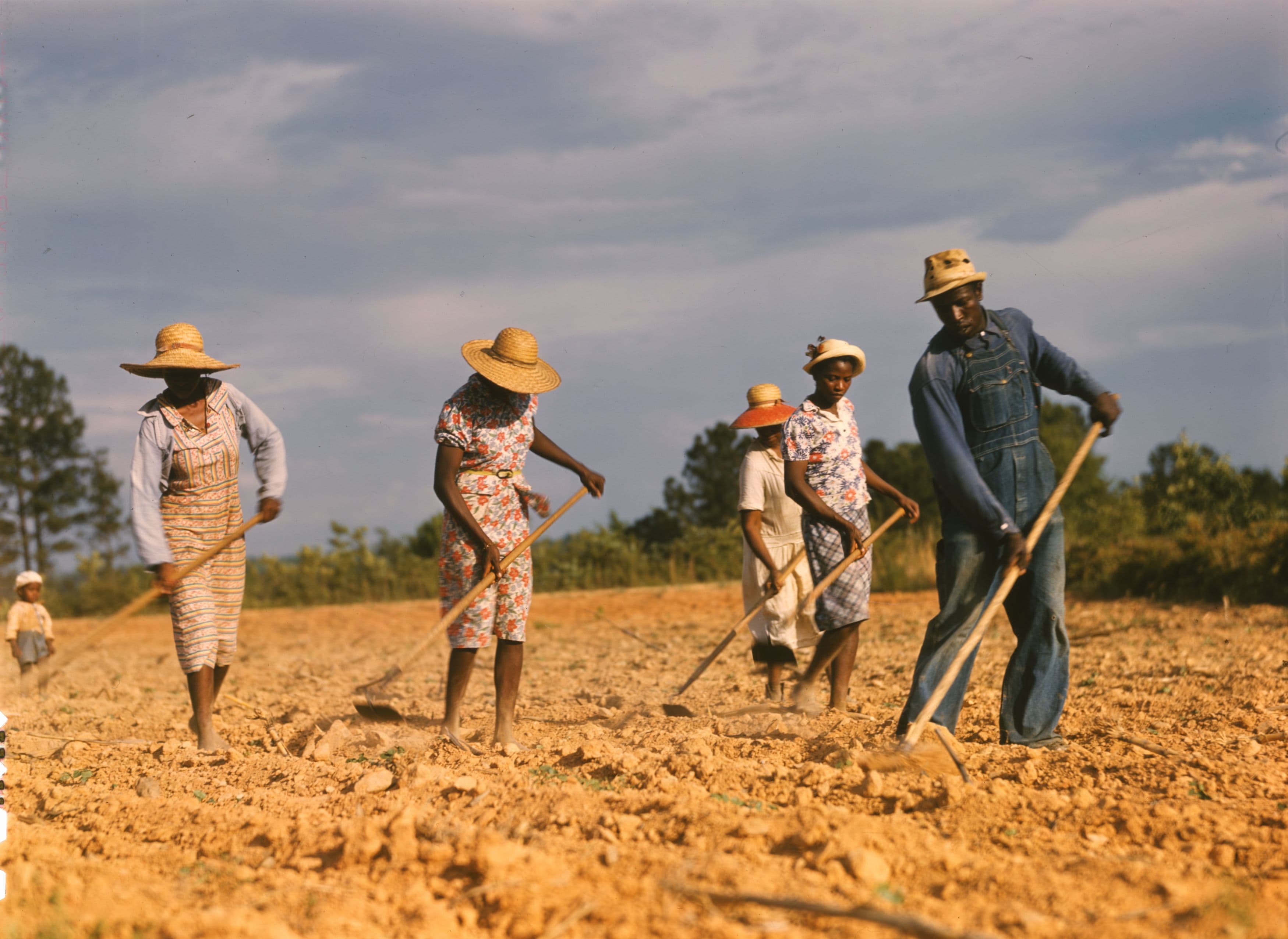 Sharecropping and Tenant Farming Systems, File:Sharecroppers chopping cotton - 1941.jpg - Wikimedia Commons