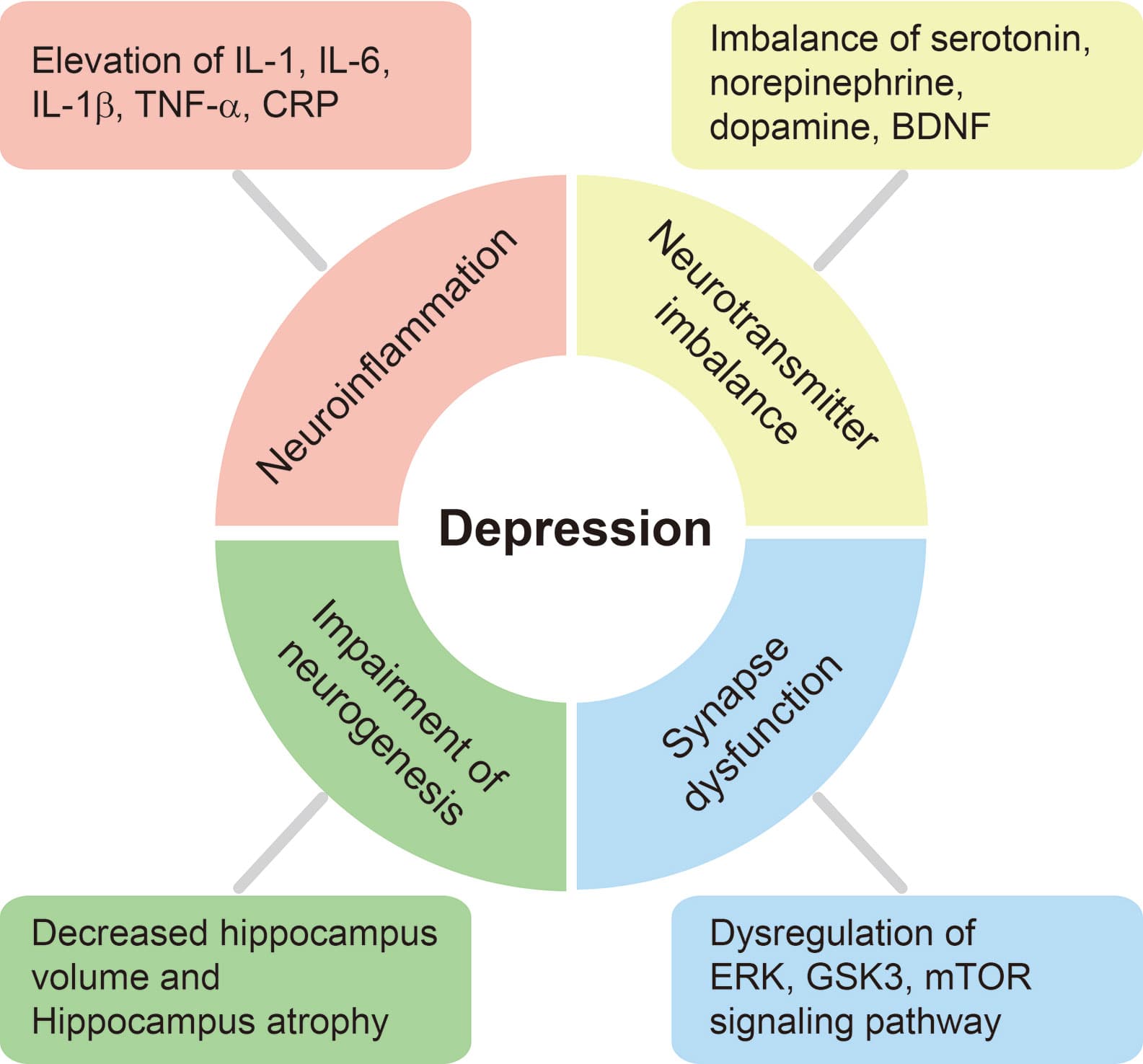 Signs of adolescent anxiety and depression, Frontiers | Alleviation of Depression by Glucagon-Like Peptide 1 Through the Regulation of ...