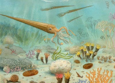 Defining the Silurian, 2012amphibians - Silurian Period