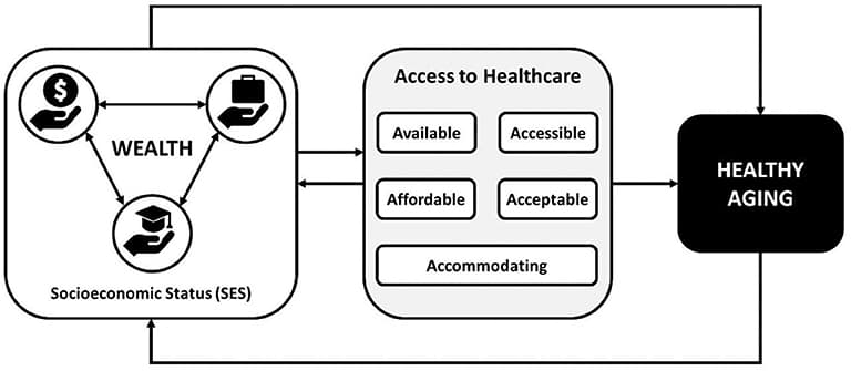 Social Determinants of Health and Socioeconomic Status, Frontiers | Socioeconomic Status and Access to Healthcare: Interrelated Drivers for Healthy Aging
