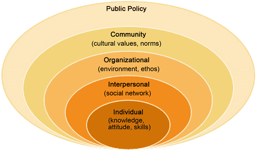 Individual and Interpersonal Factors, Social Ecological Model and Underage Drinking: A Theoretical Review and Evaluation