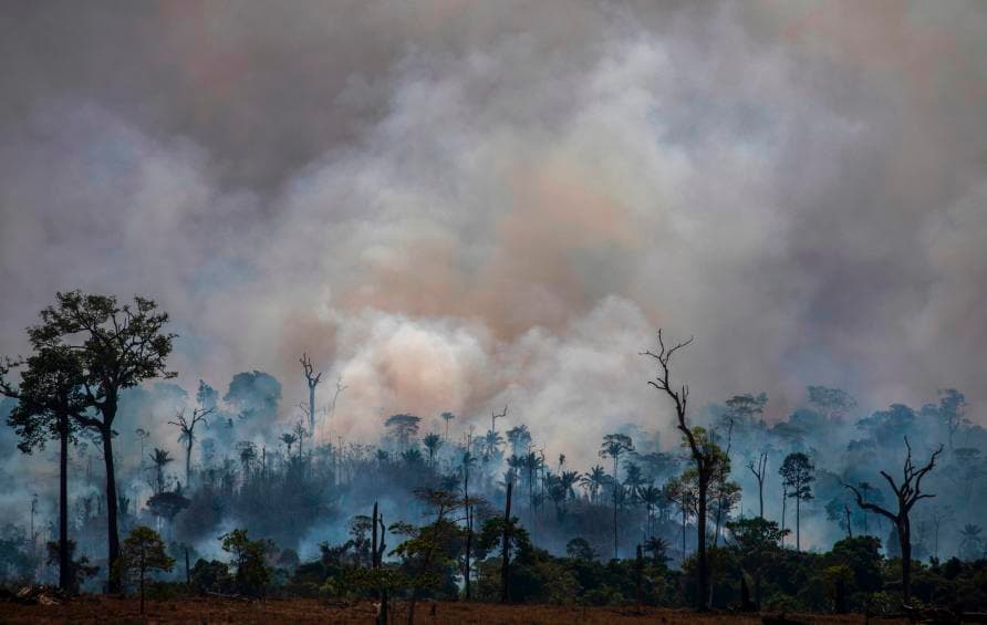 Sources of carbon dioxide emissions, Why are our rainforests burning? | Pursuit by The University of Melbourne