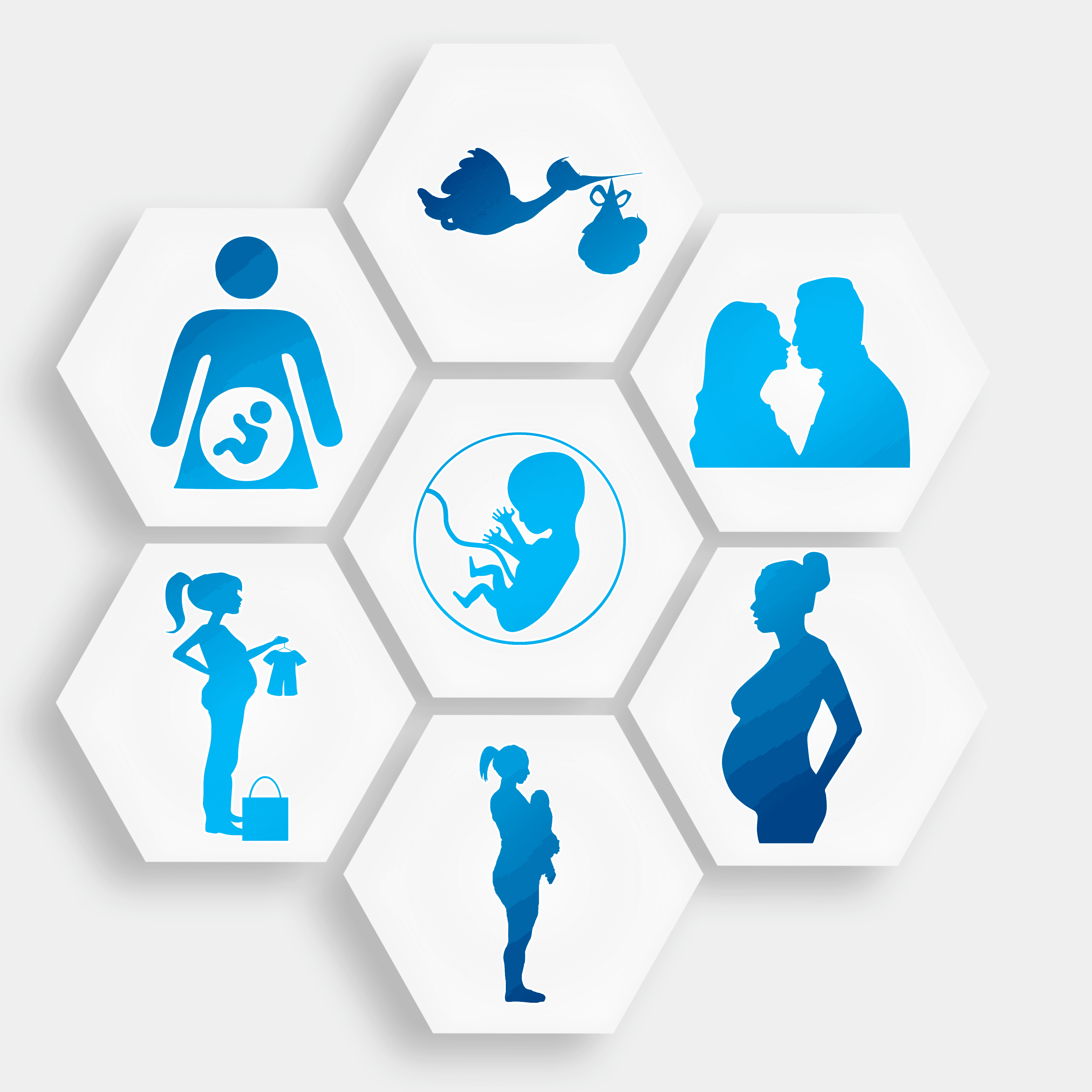 Stages of Child Development, Prenatal Development | Lifespan Development