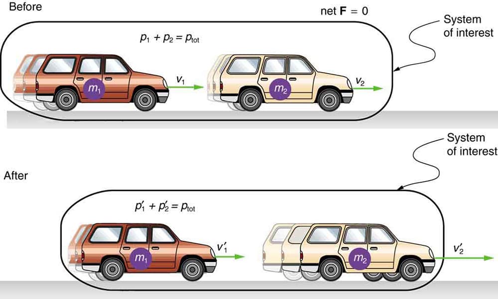 Steady state vs transient motion, Conservation of Momentum | Physics