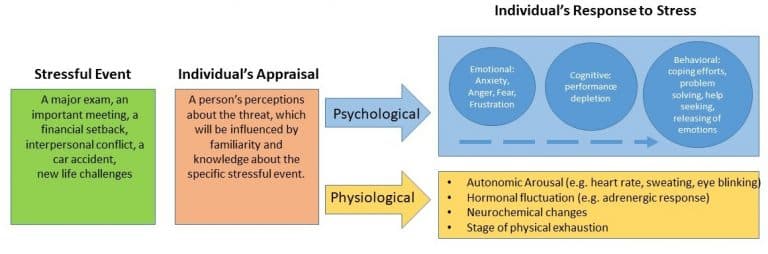 Stimulus vs Response Stress, Stress and Coping – Introduction to Community Psychology