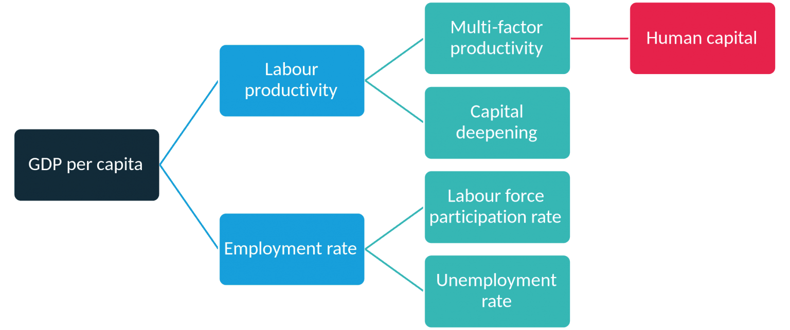 Strategies for low-income development, Which investments in human capital will boost productivity growth? - Economics Observatory