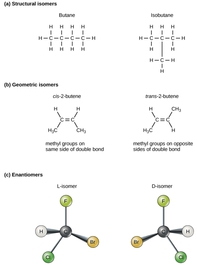 Structure of carbon-carbon double bonds, Carbon | Boundless Biology