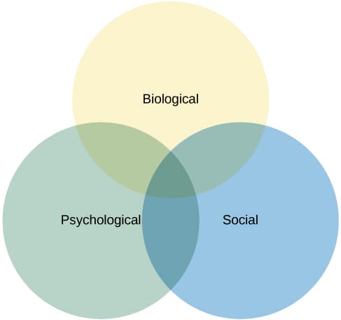 Subfields of contemporary psychology, Subfields within Psychology | Introduction to Psychology