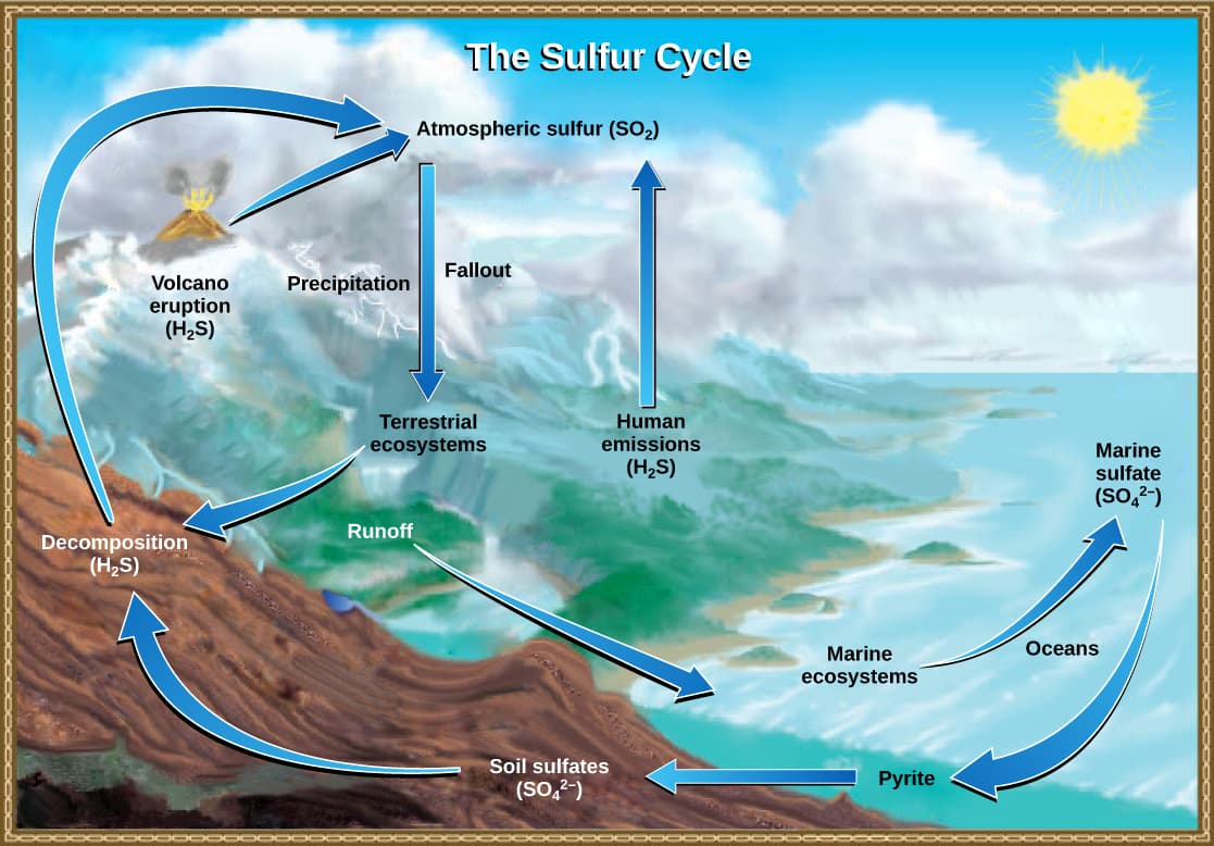 Sulfur occurrence and extraction, The Sulfur Cycle | Biology for Majors II