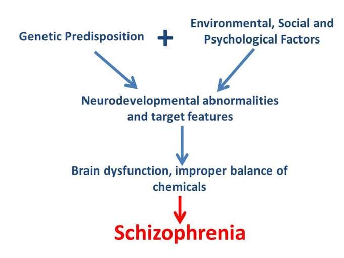 Symptoms of schizophrenia, Schizophrenia Spectrum and Other Psychotic Disorders | Boundless Psychology